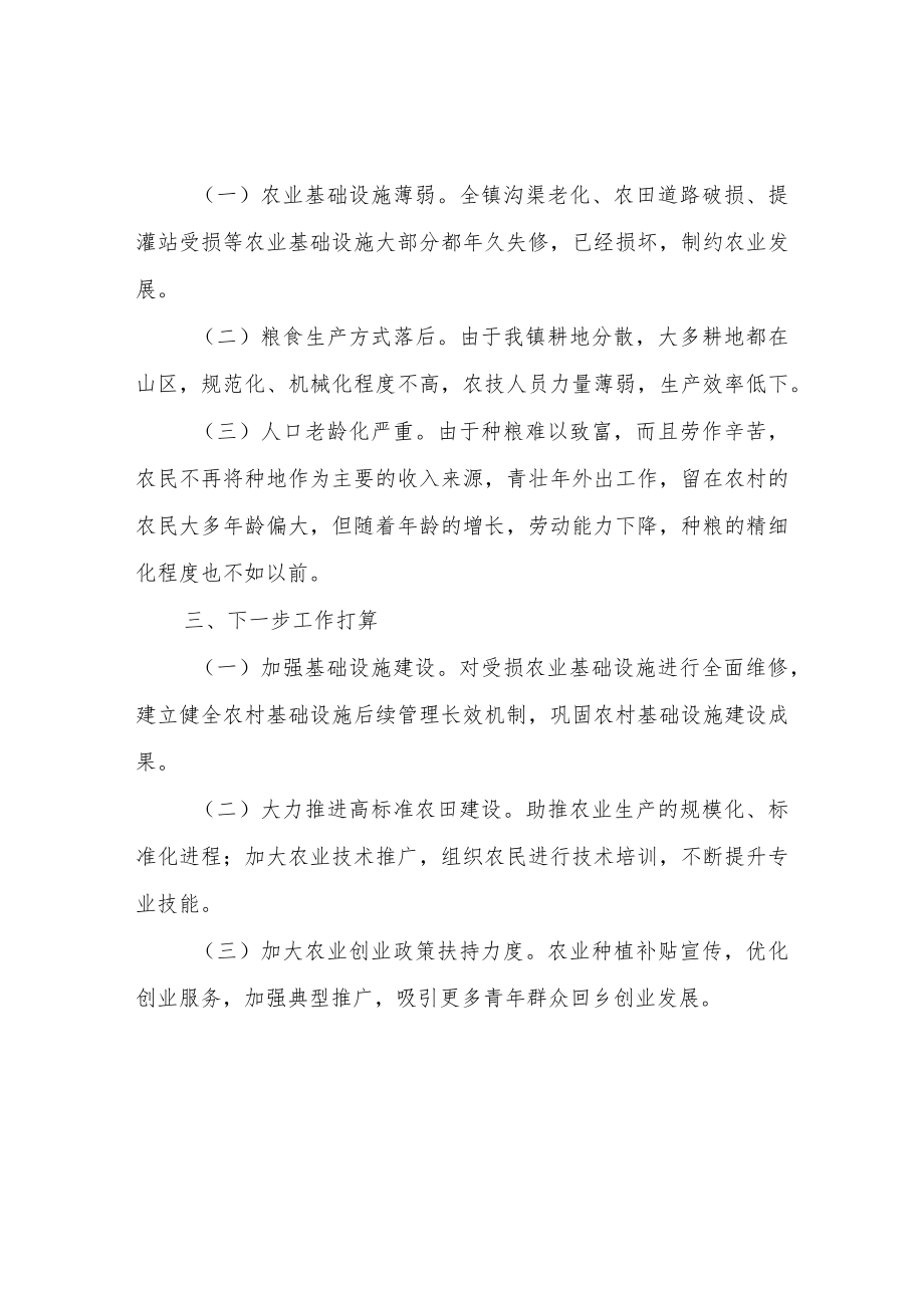 XX镇2022上半粮食安全工作总结.docx_第2页