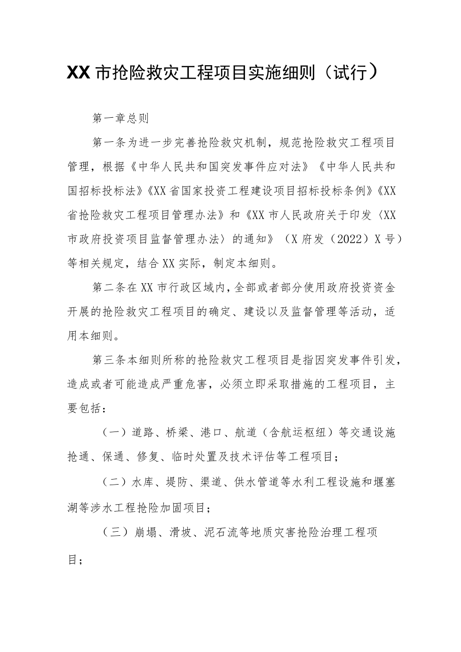 XX市抢险救灾工程项目实施细则.docx_第1页