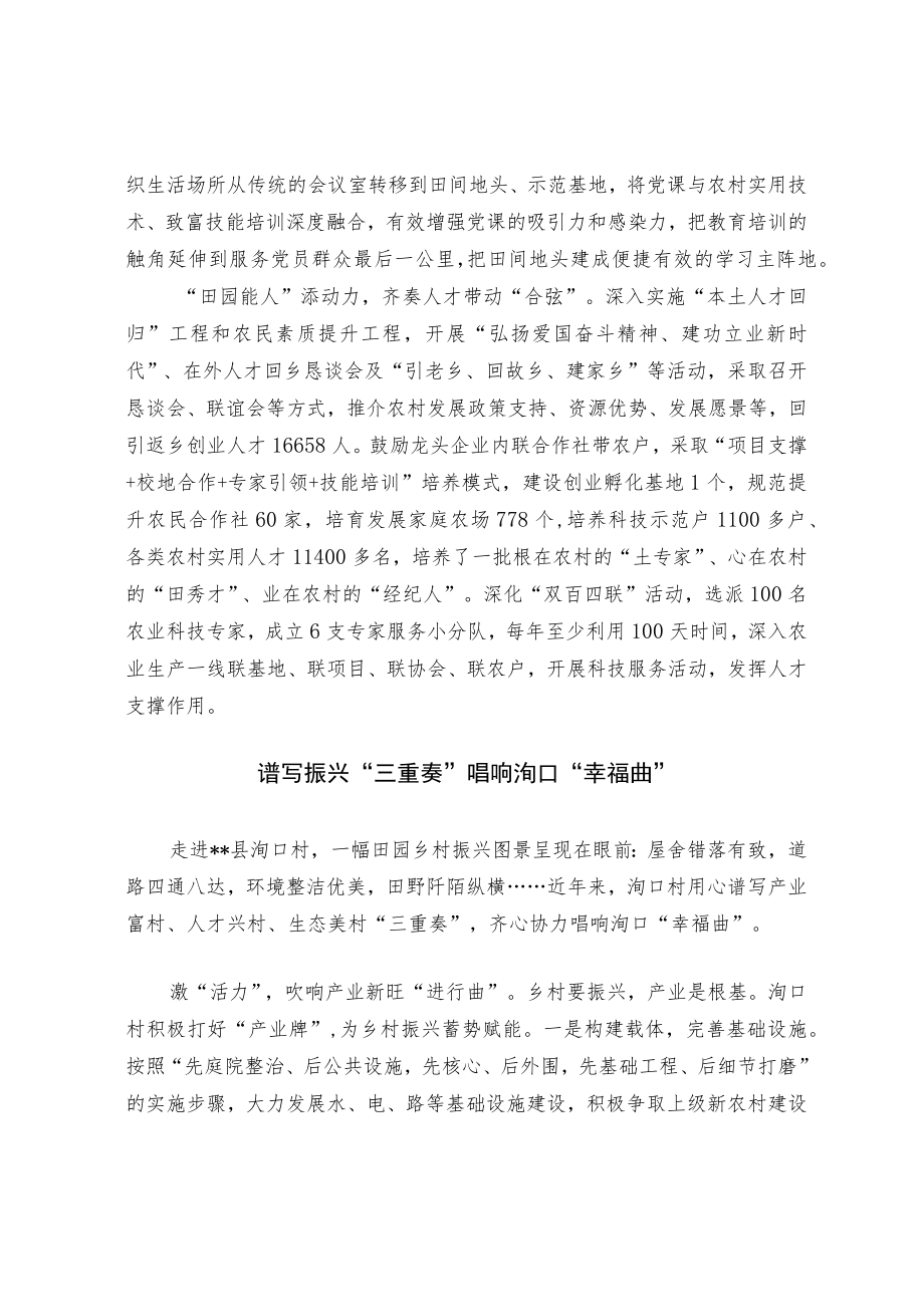 乡村振兴经验交流材料(1).docx_第2页