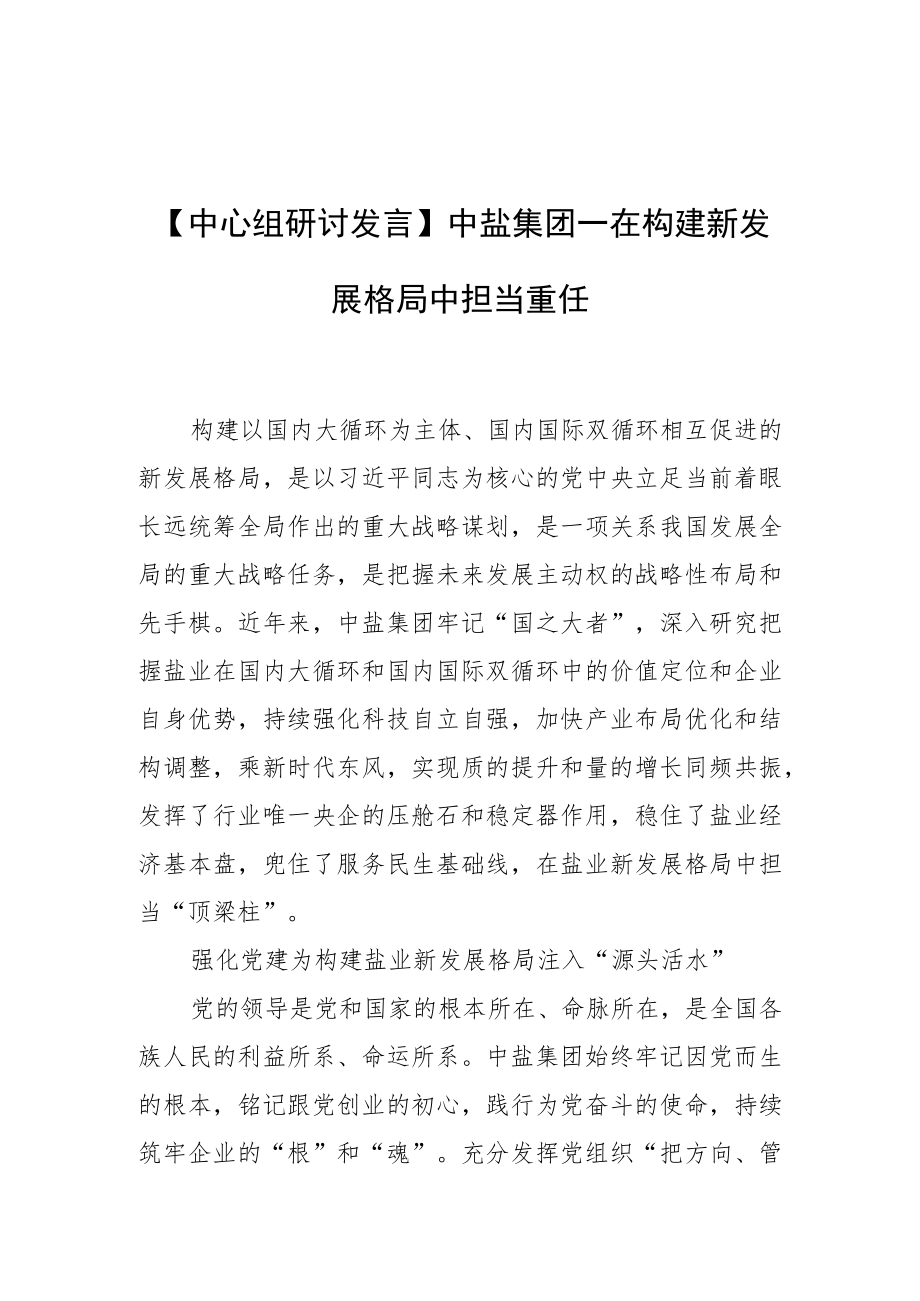 【中心组研讨发言】中盐集团—在构建新发展格局中担当重任.docx_第1页