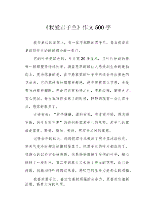 《我爱君子兰》作文500字.docx