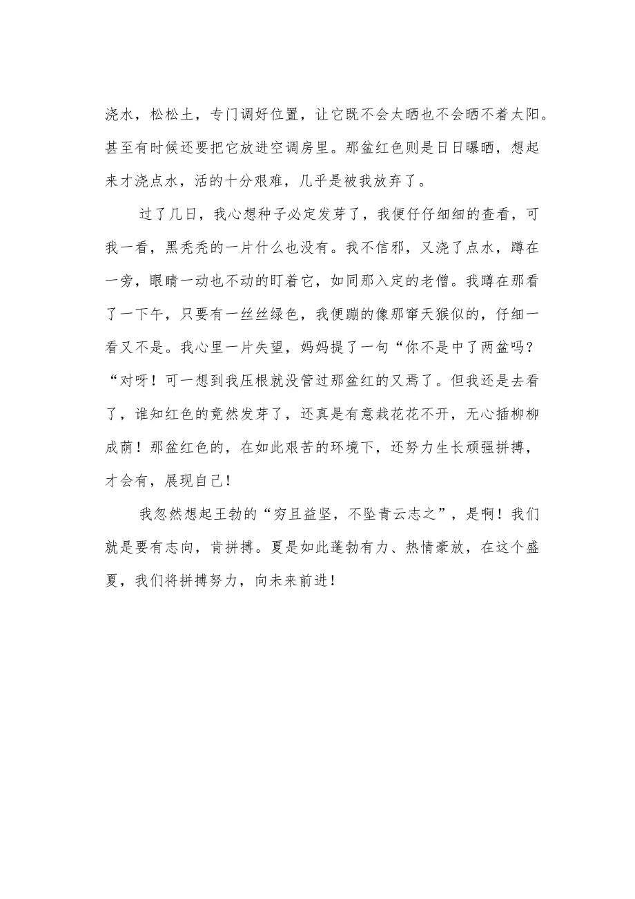 《生命的拼搏》作文900字.docx_第2页