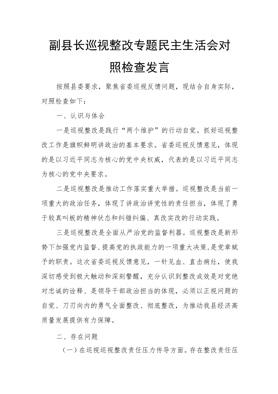 副县长巡视整改专题民主生活会对照检查发言2.docx_第1页