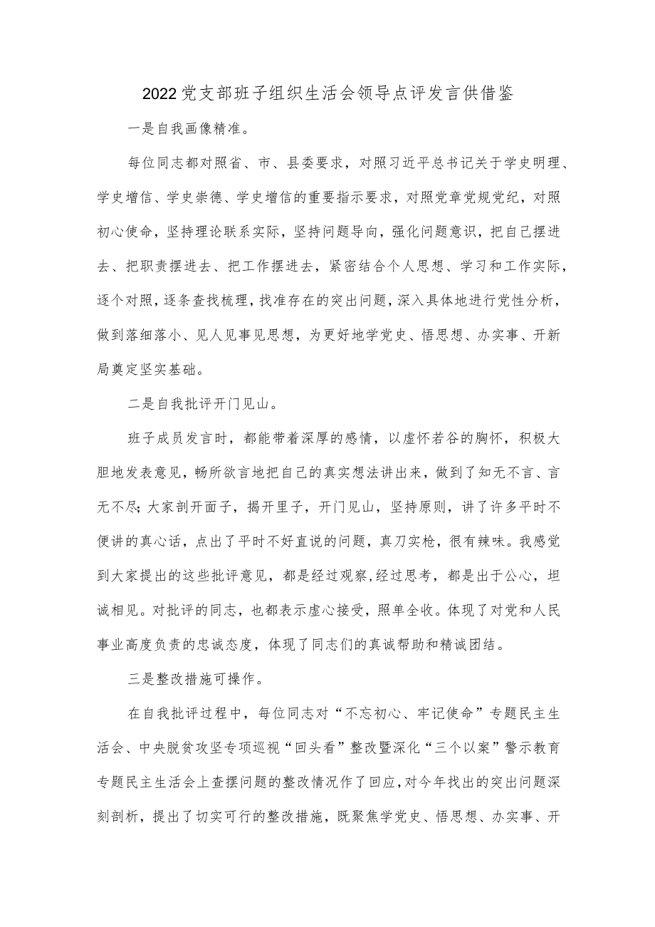 2022党支部班子组织生活会领导点评发言供借鉴.docx_第1页