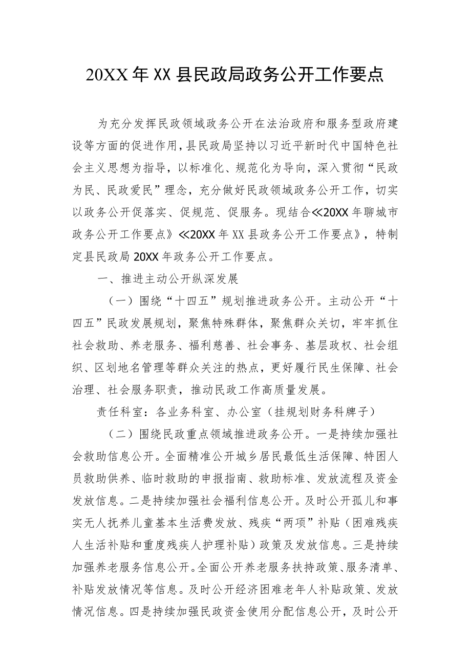 XX县民政局政务公开工作要点.docx_第1页