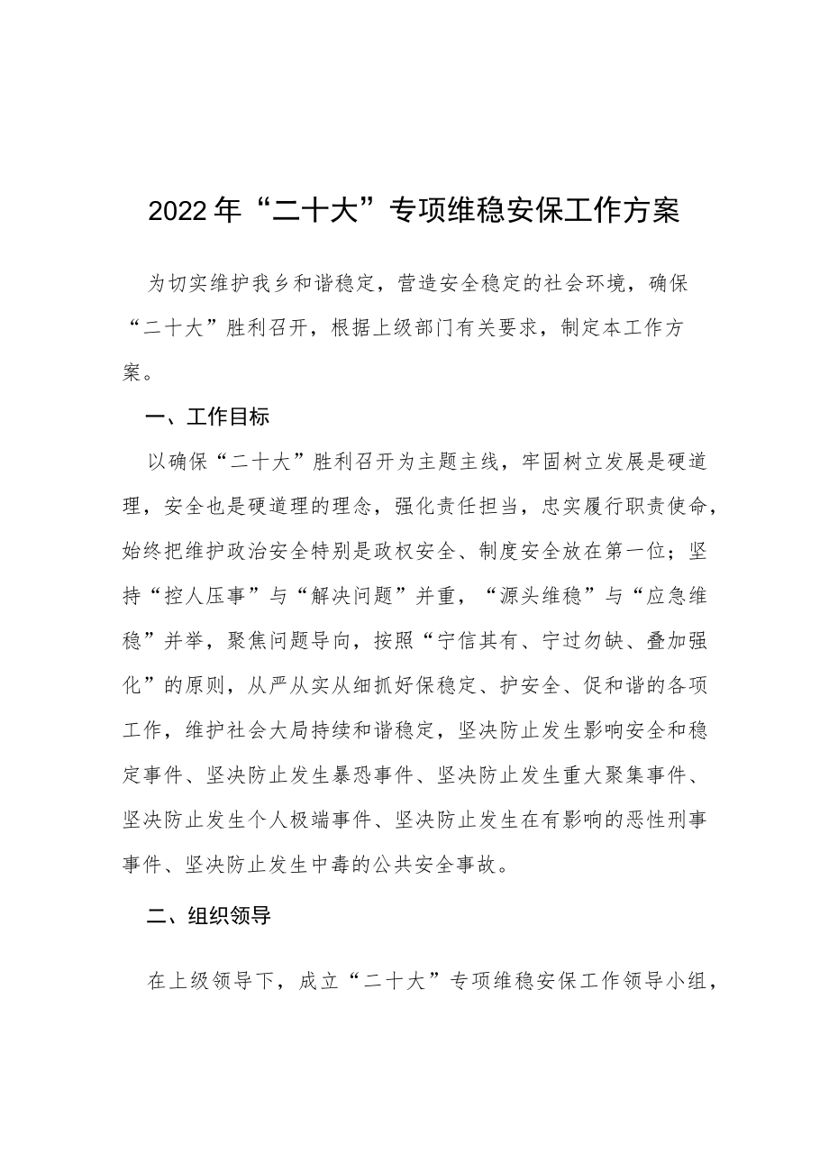 2022“二十大”专项维稳安保工作方案等范文十篇.docx_第1页