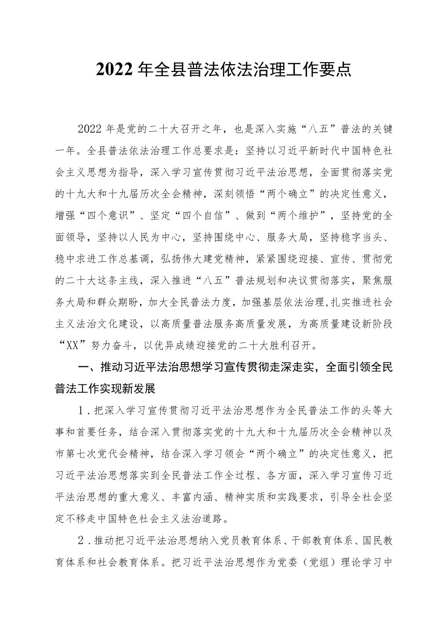 2022XX县普法依法治理工作要点.docx_第1页