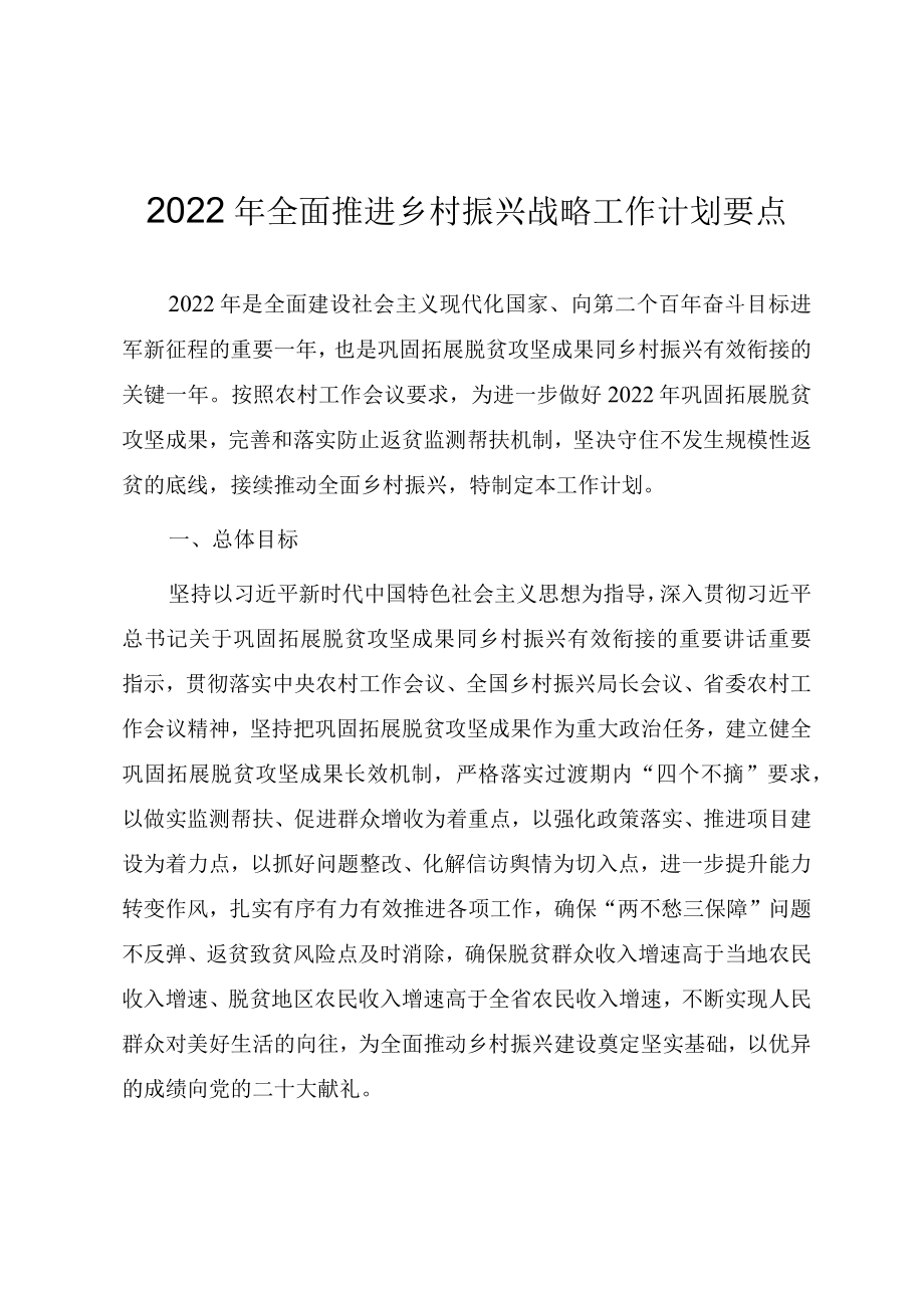 2022全面推进乡村振兴战略工作计划要点.docx_第1页