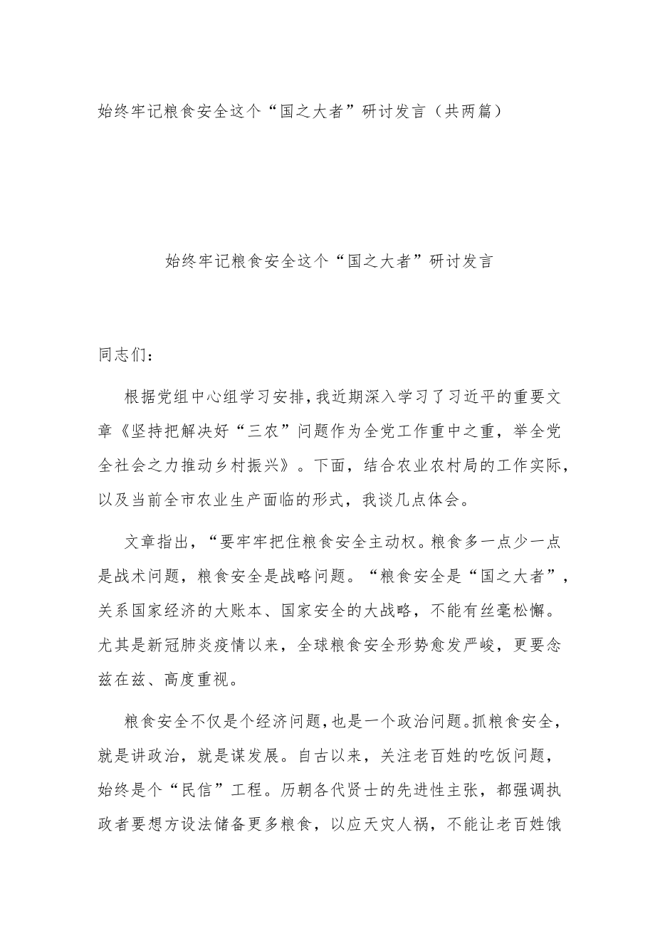 始终牢记粮食安全这个“国之大者” 研讨发言（共两篇）.docx_第1页