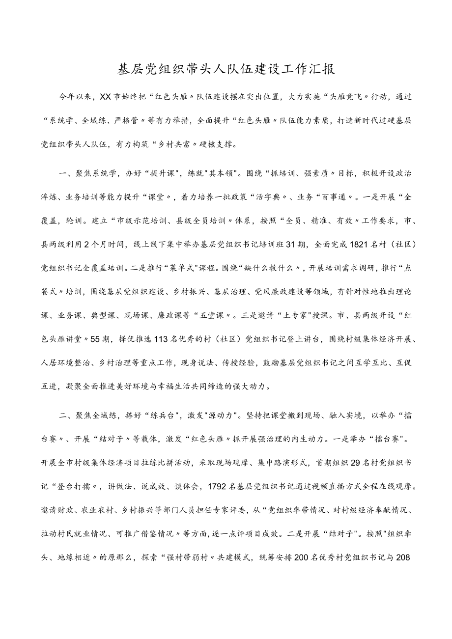 基层党组织带头人队伍建设工作汇报.docx_第1页