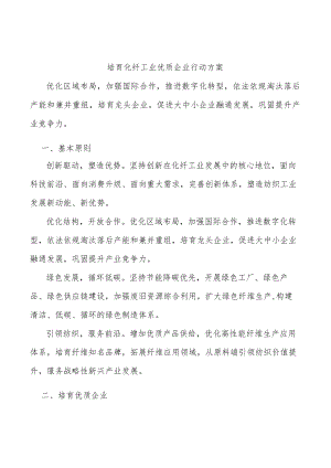 培育化纤工业优质企业行动方案.docx