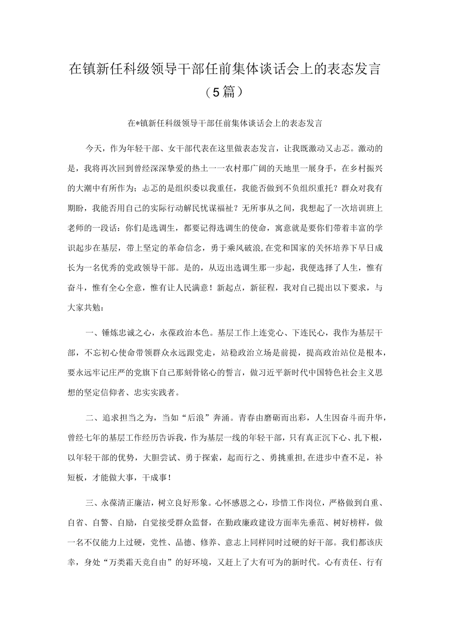 在镇新任科级领导干部任前集体谈话会上的表态发言（5篇）.docx_第1页