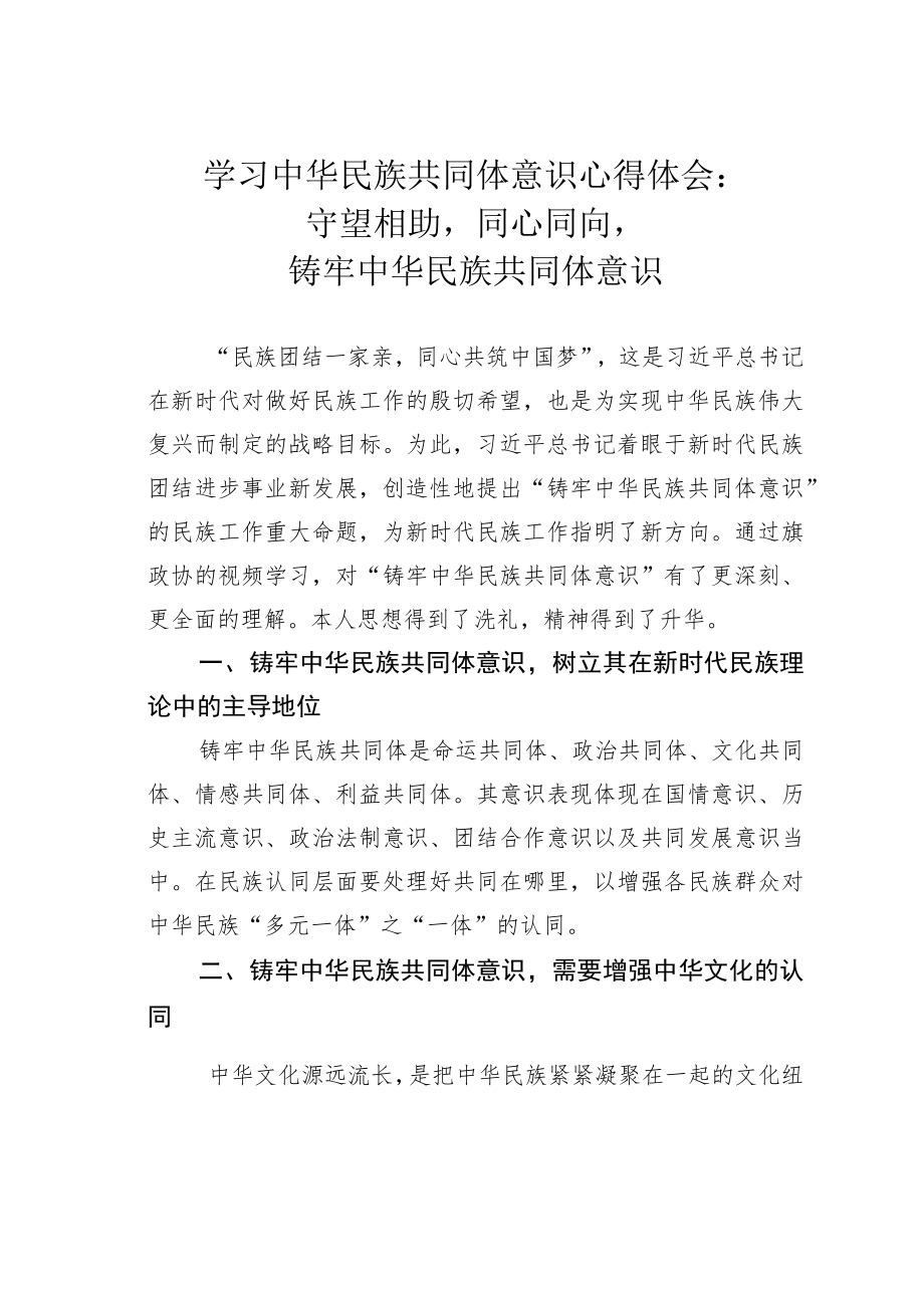 学习中华民族共同体意识心得体会：守望相助同心同向铸牢中华民族共同体意识.docx_第1页