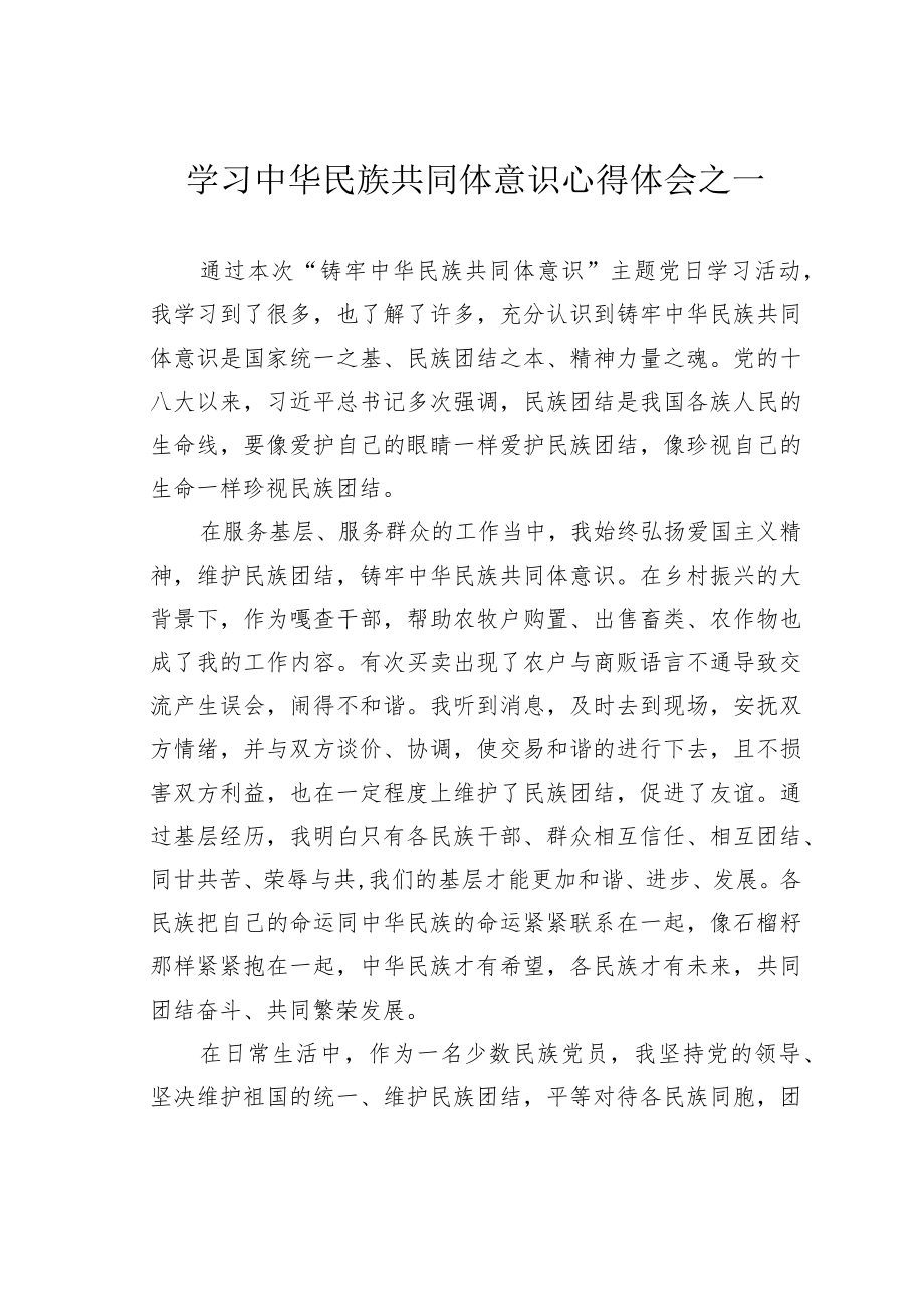学习中华民族共同体意识心得体会之一.docx_第1页