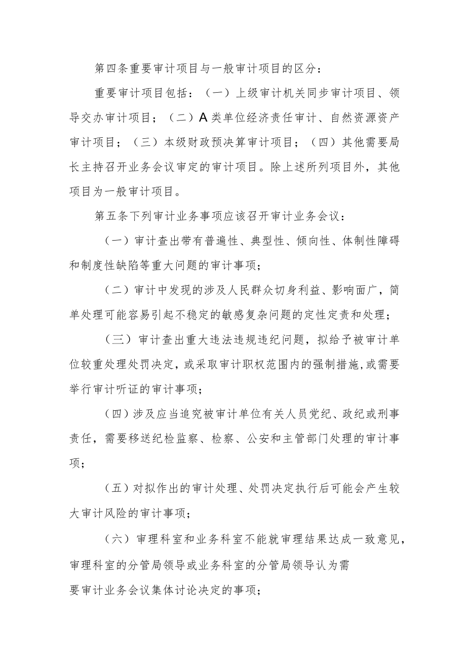 审计业务会议制度.docx_第2页