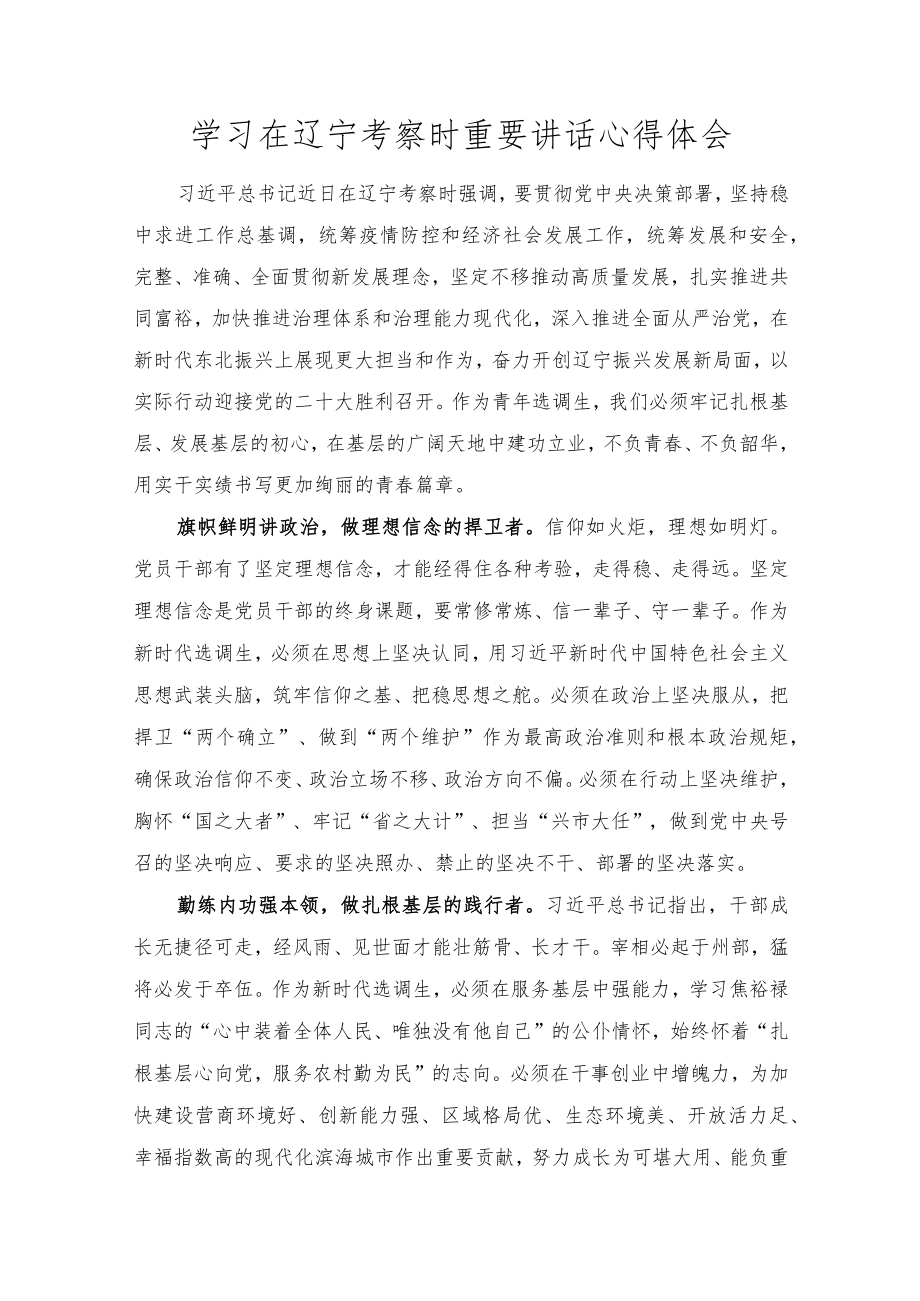 学习在辽宁考察时重要讲话心得体会感悟范文.docx_第1页