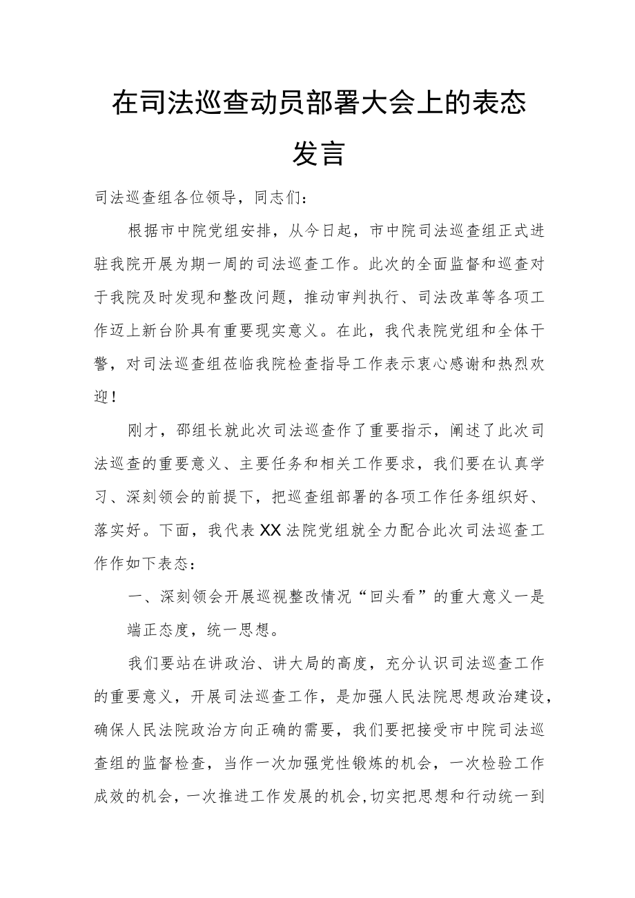 在司法巡查动员部署大会上的表态发言.docx_第1页