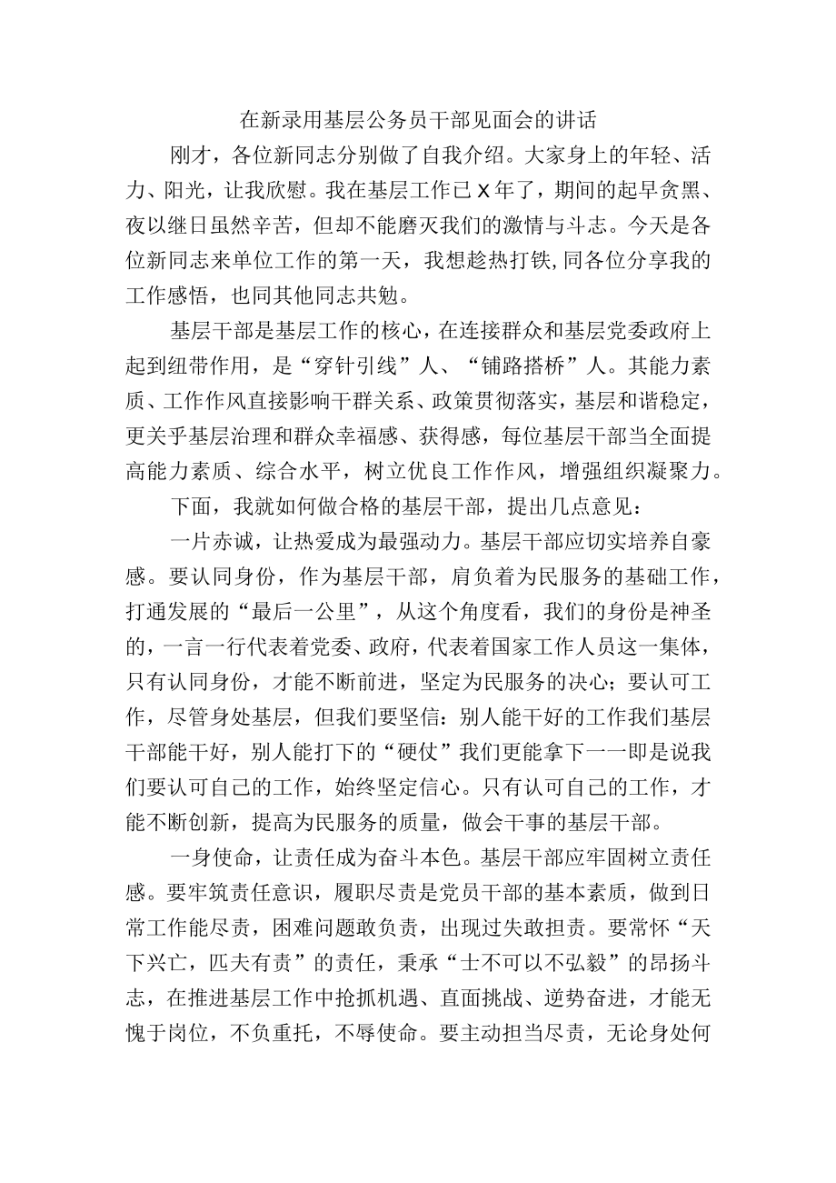 在新录用基层公务员干部见面会的讲话.docx_第1页