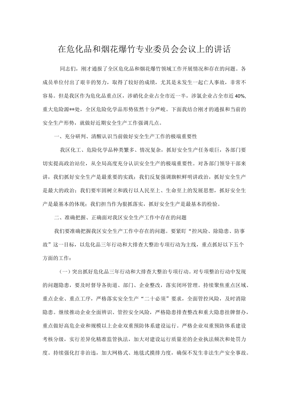 在危化品和烟花爆竹专业委员会会议上的讲话.docx_第1页