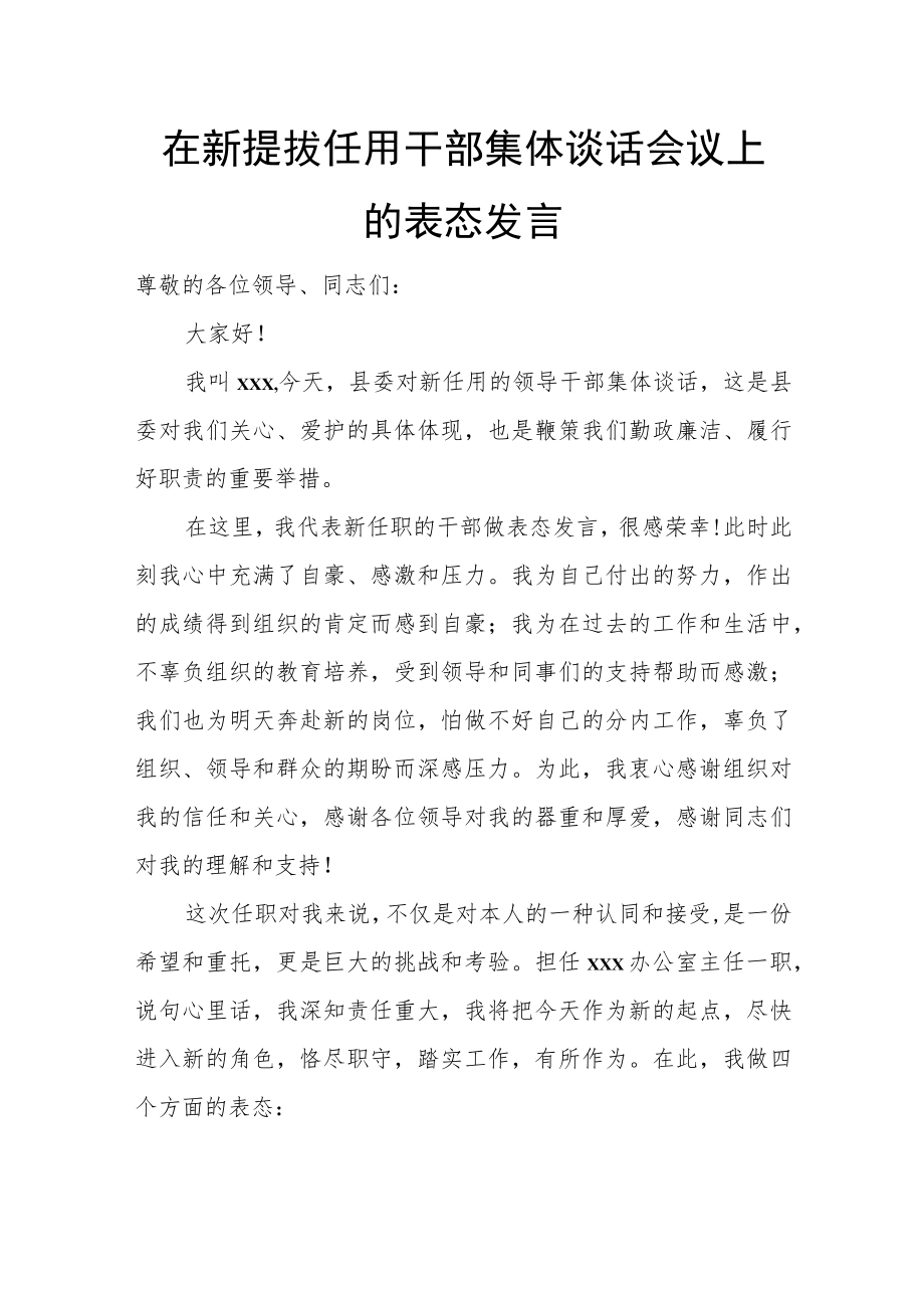 在新提拔任用干部集体谈话会议上的表态发言.docx_第1页