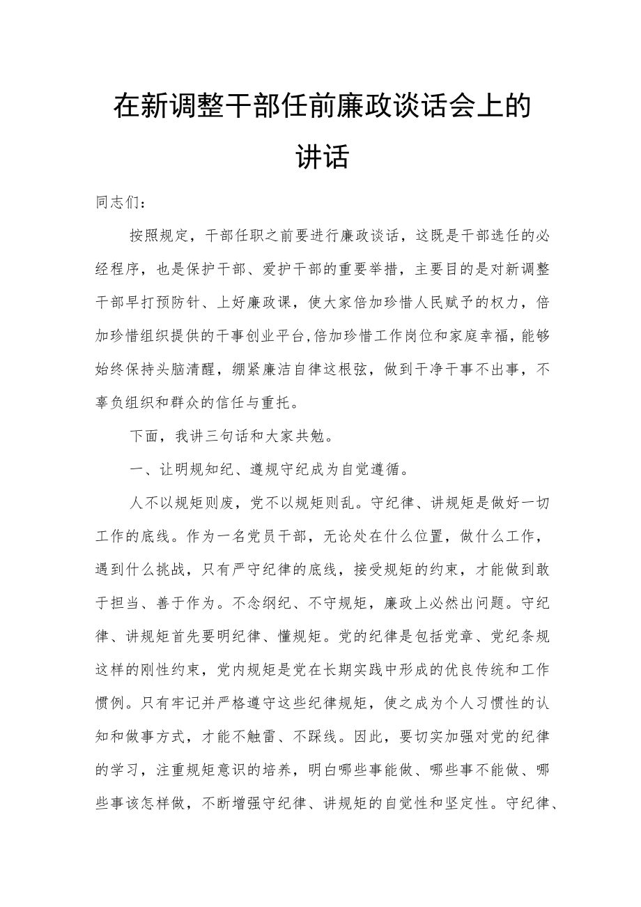 在新调整干部任前廉政谈话会上的讲话.docx_第1页