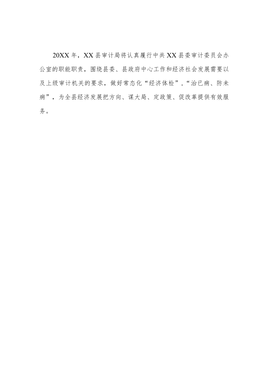 XX县审计局2022年工作计划.docx_第2页