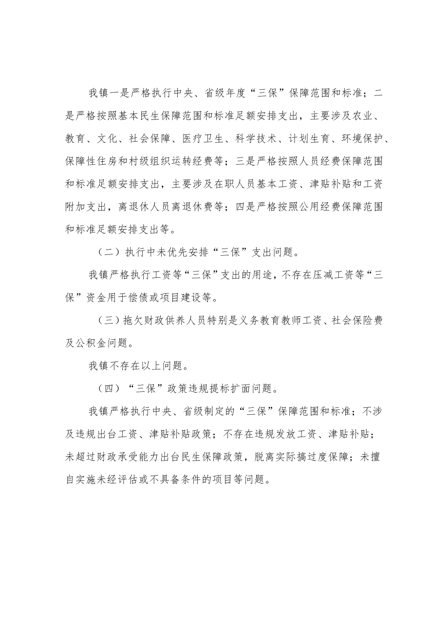 XX镇关于兜牢兜实“三保”底线领域专项整治行动的自查报告.docx_第2页