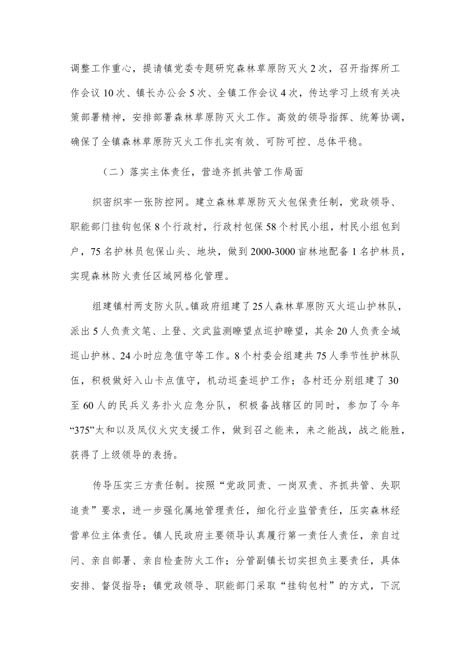 xx镇20xx年森林草原防灭火专项工作报告.docx_第2页