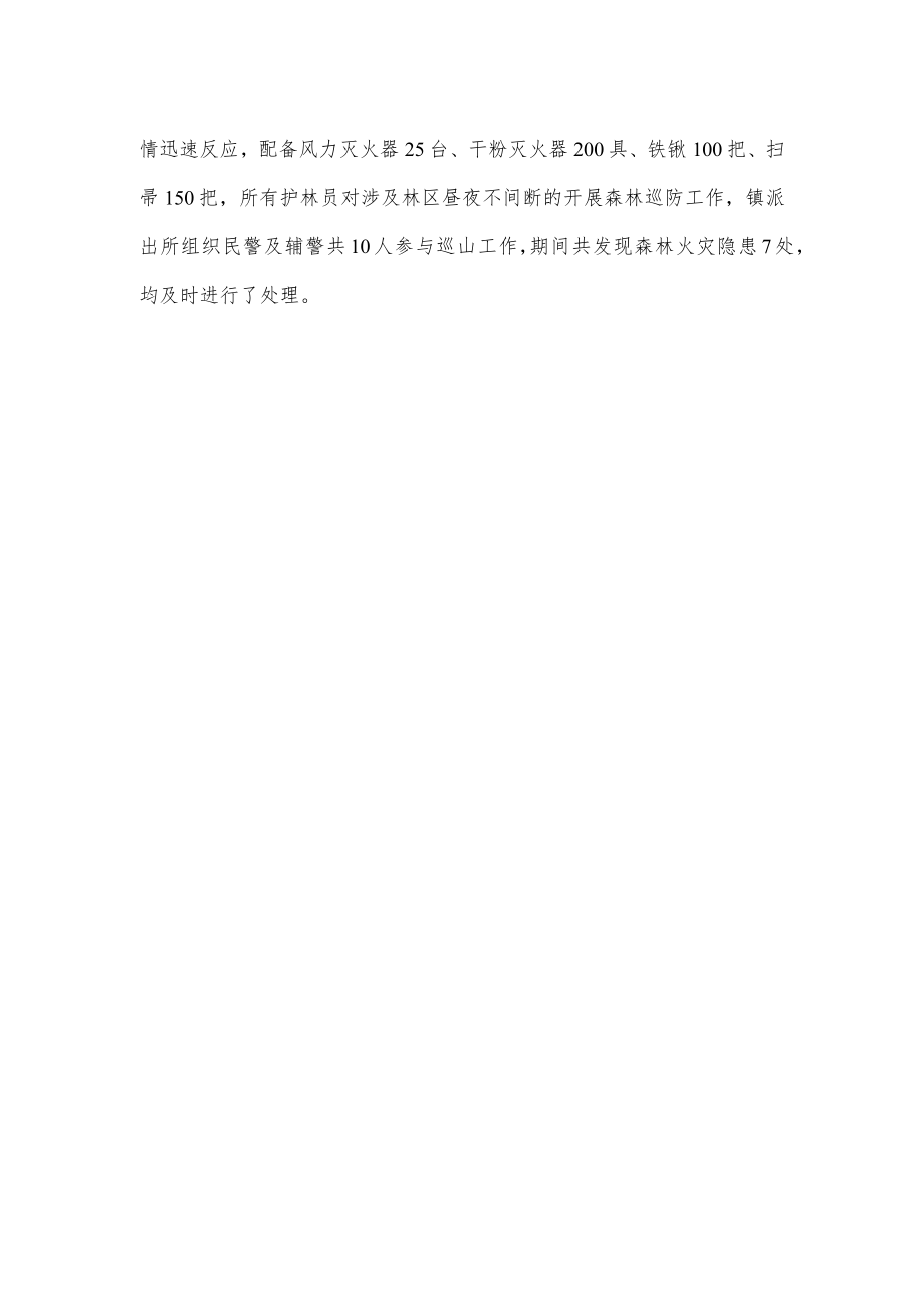 xx镇森林防灭火工作总结.docx_第2页