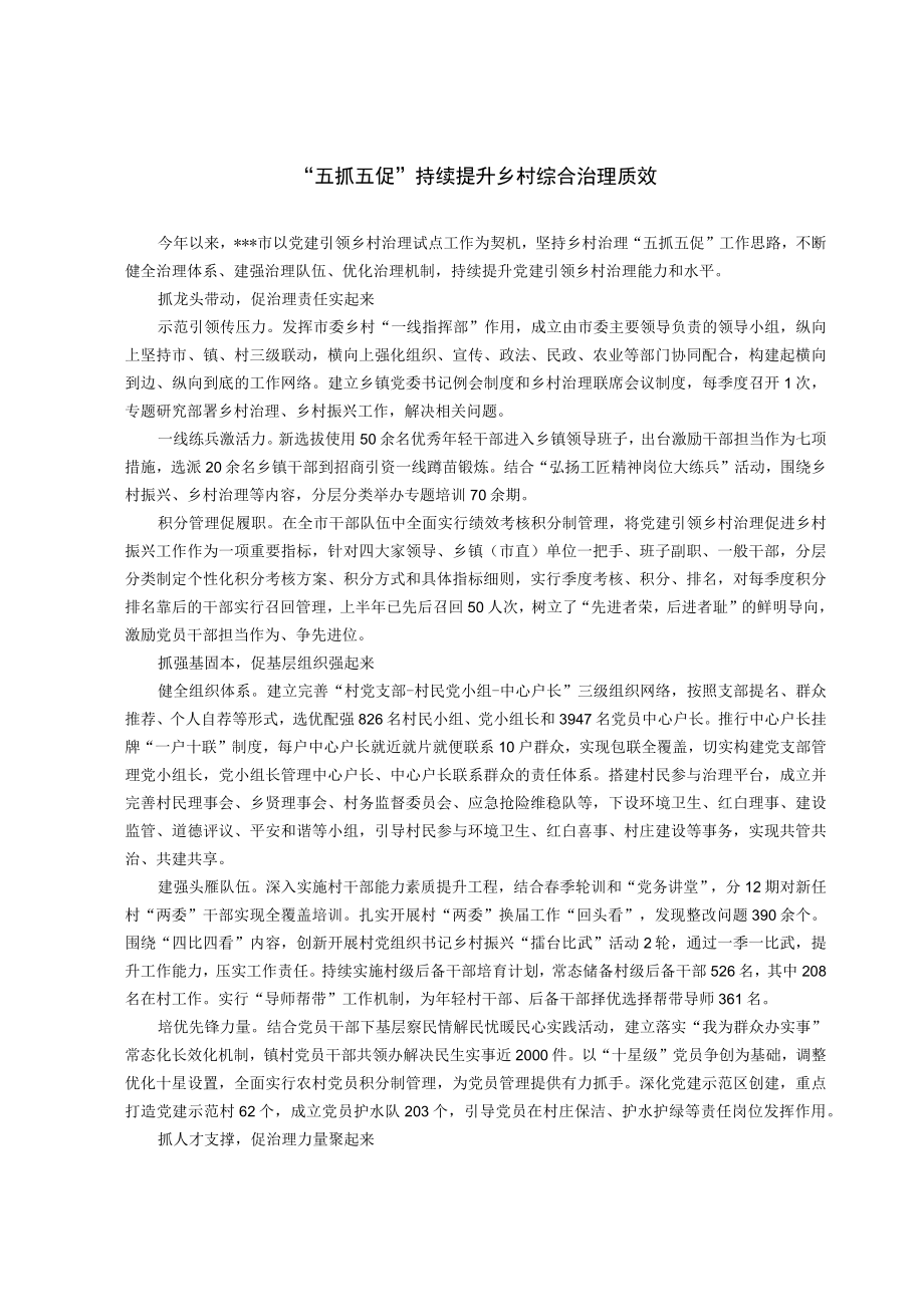 乡村综合治理经验交流材料.docx_第1页