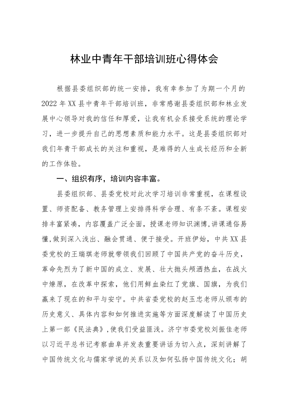 2022轻干部理论学习心得体会九篇合集.docx_第1页