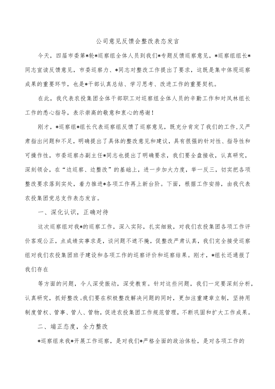 公司意见反馈会整改表态发言.docx_第1页