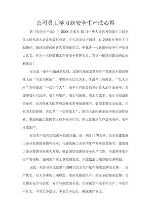 公司员工学习新安全生产法心得.docx