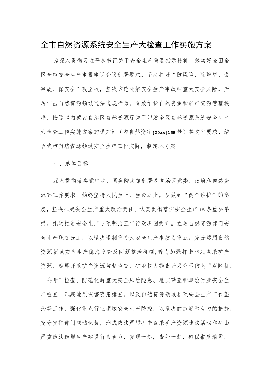 全市自然资源系统安全生产大检查工作实施方案.docx_第1页