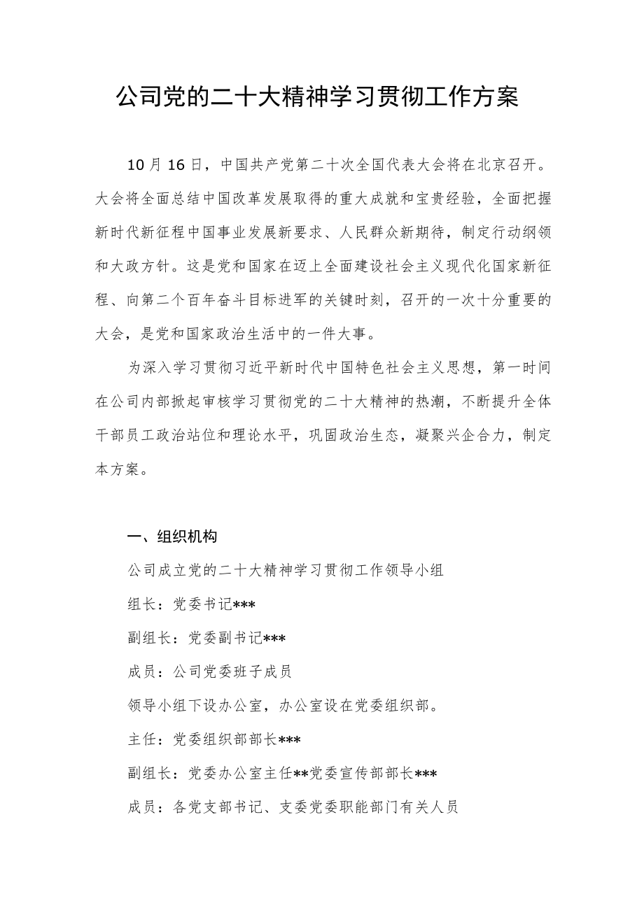 公司党的二十大精神学习贯彻工作方案.docx_第1页