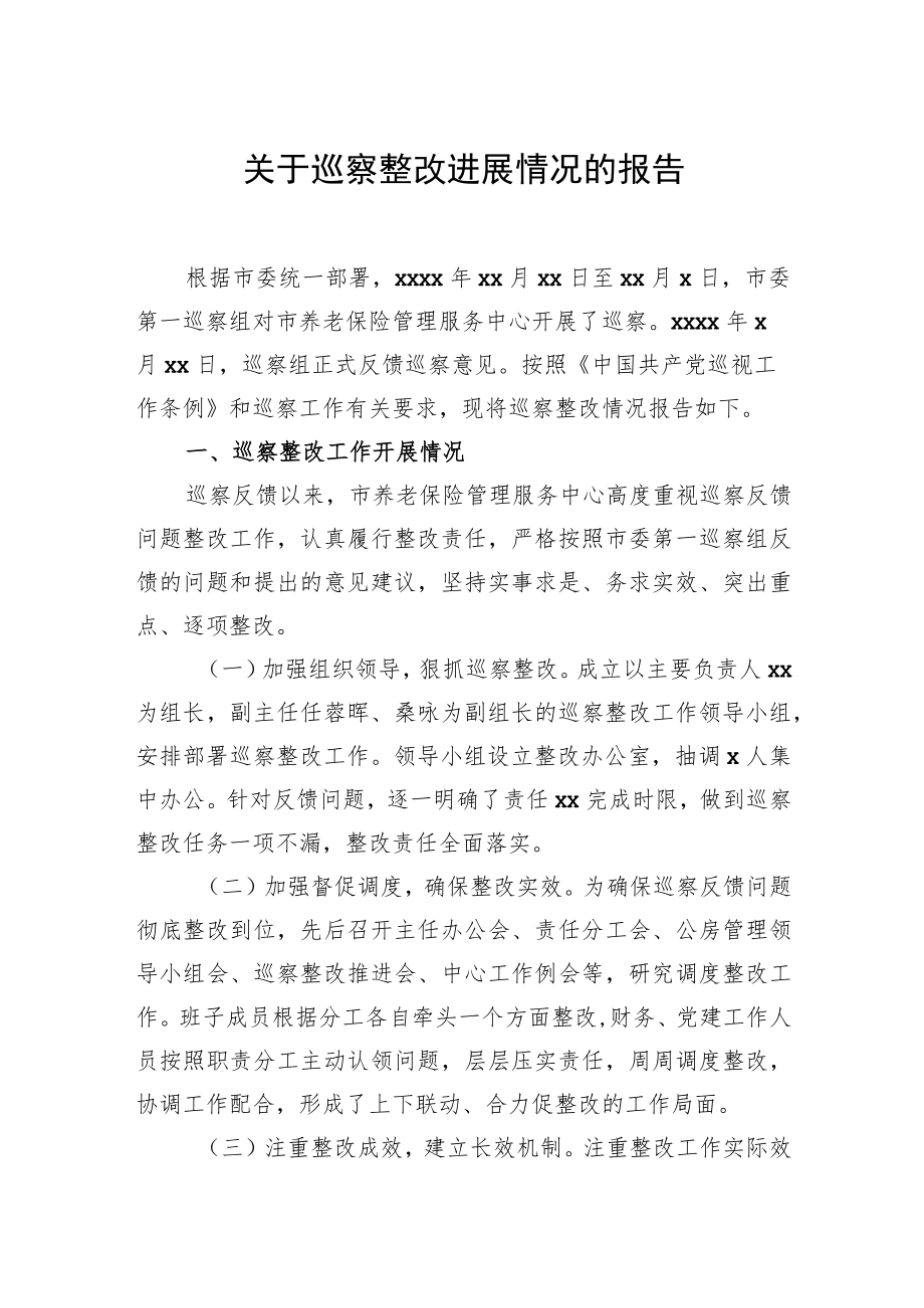 关于巡察整改进展情况的报告.docx_第1页