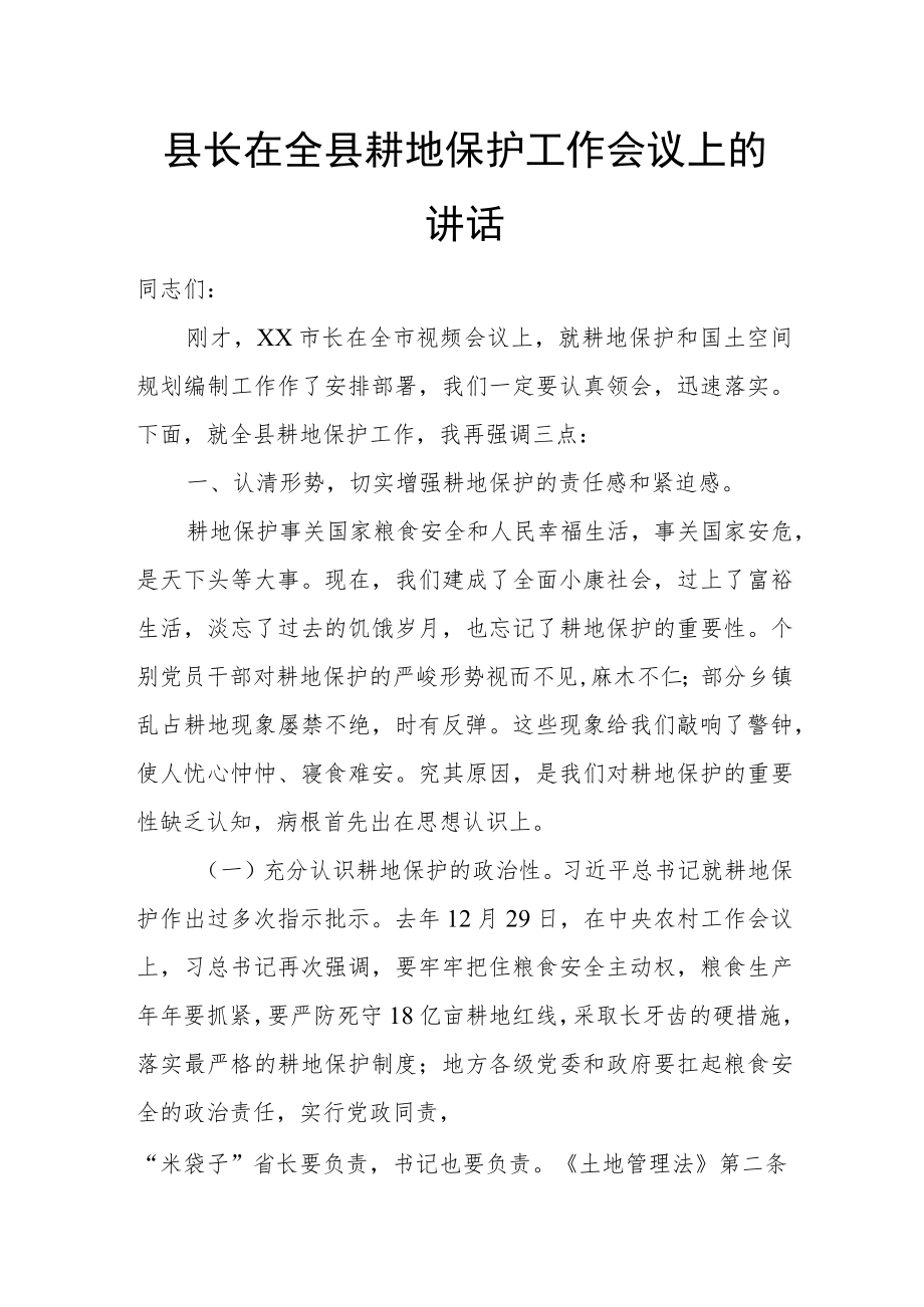 县长在全县耕地保护工作会议上的讲话.docx_第1页