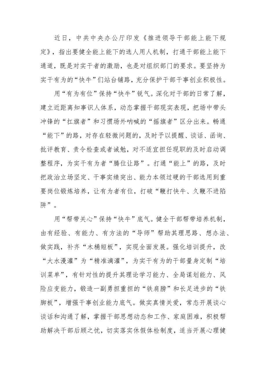 学习领悟《推进领导干部能上能下规定》心得体会3篇.docx_第1页