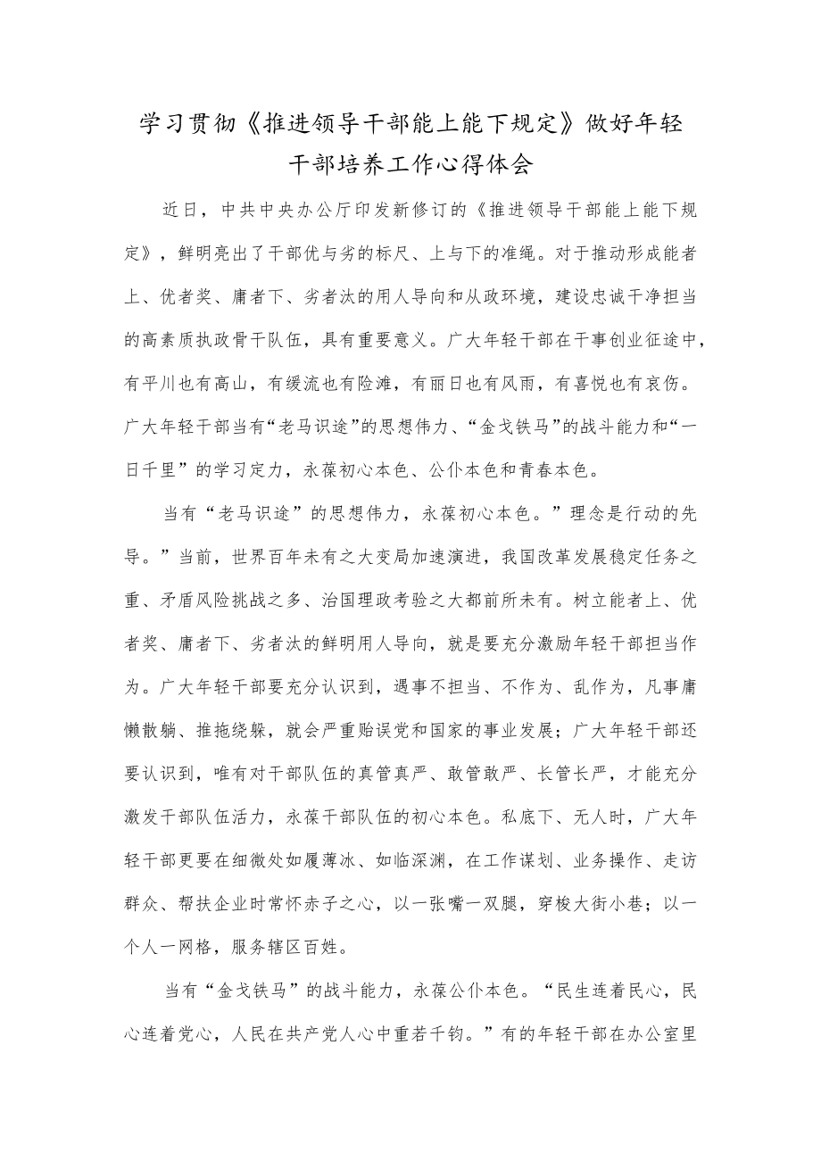 学习贯彻《推进领导干部能上能下规定》做好年轻干部培养工作心得体会.docx_第1页