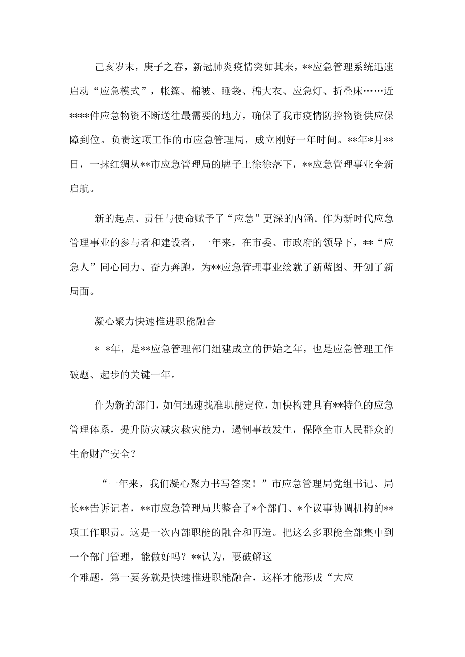 市应急管理局成立一周年工作综述(1).docx_第1页