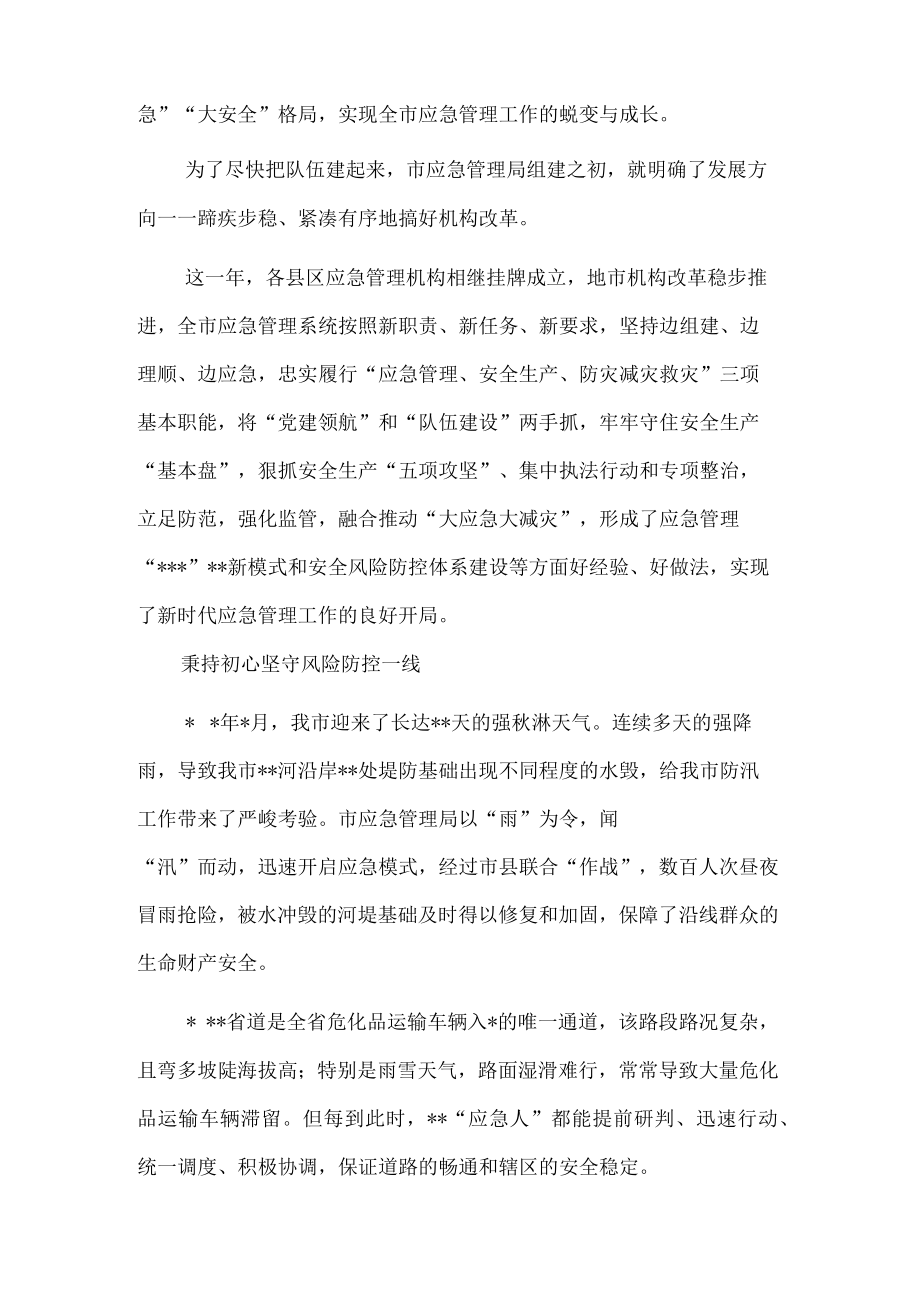 市应急管理局成立一周年工作综述(1).docx_第2页