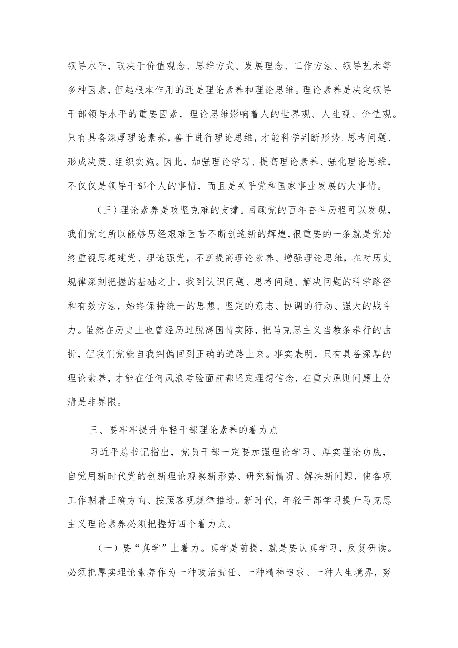 年轻干部加强理论素养本领（党课讲稿）.docx_第3页