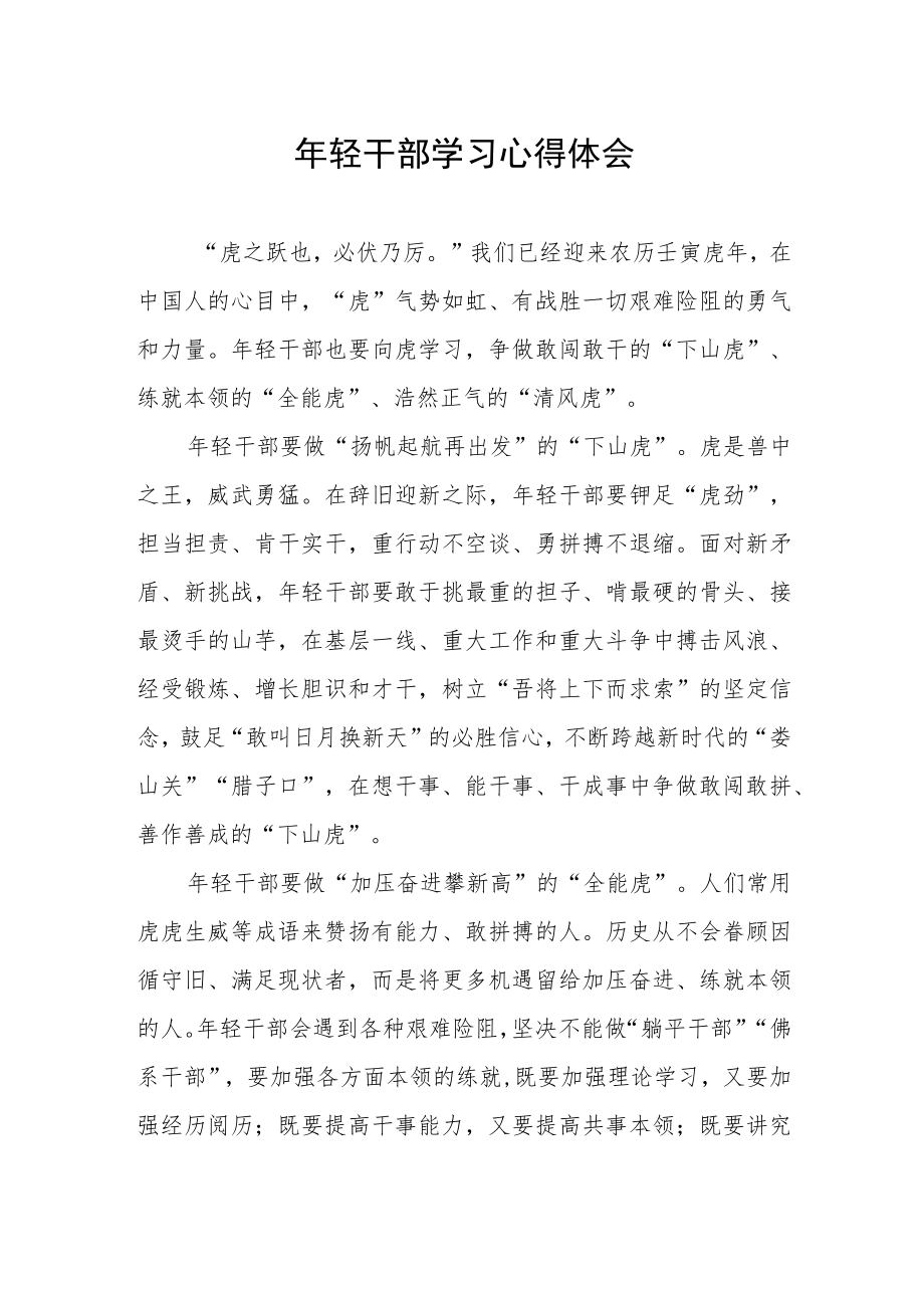 年轻干部学习心得体会发言稿.docx_第1页