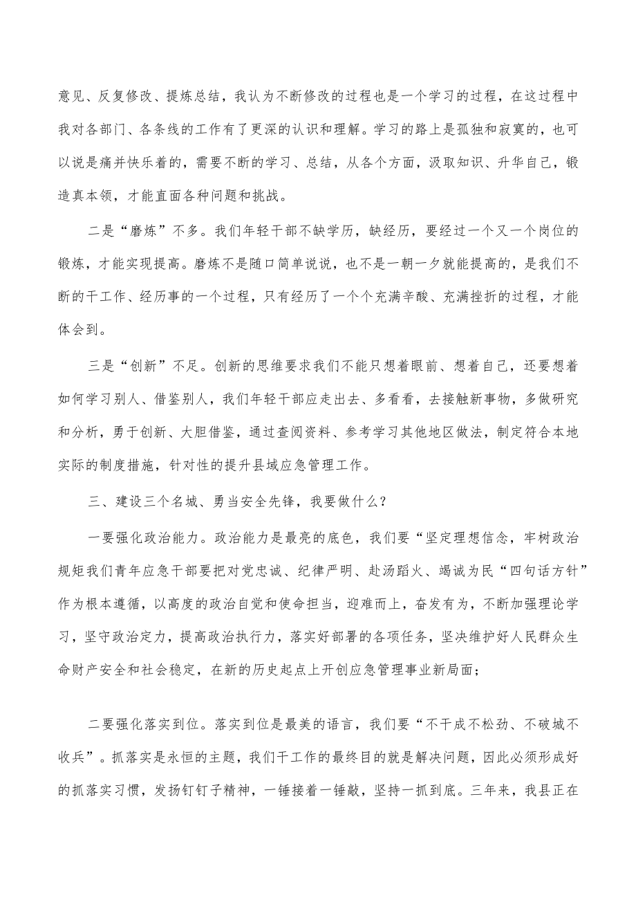 应急管理系统青年学习研讨发言.docx_第2页