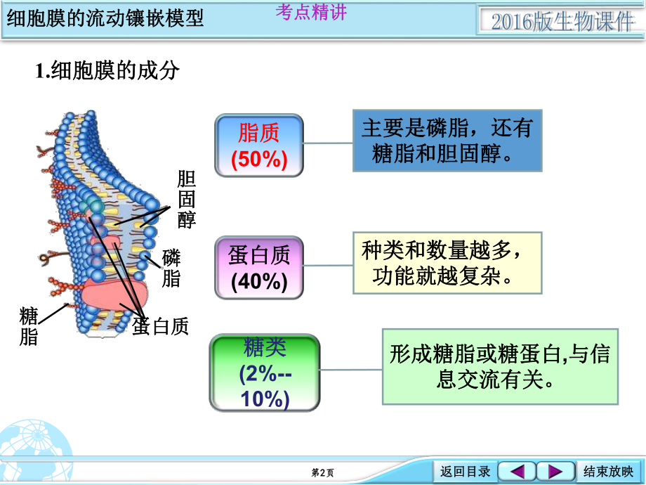 1-2-02基础考点强化类细胞膜的流动镶嵌模型.ppt_第2页