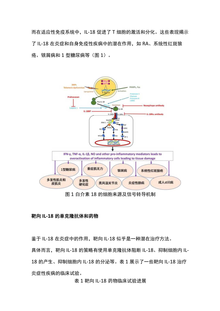 2022免疫细胞因子IL-18的作用及药物研究进展（全文）.docx_第2页