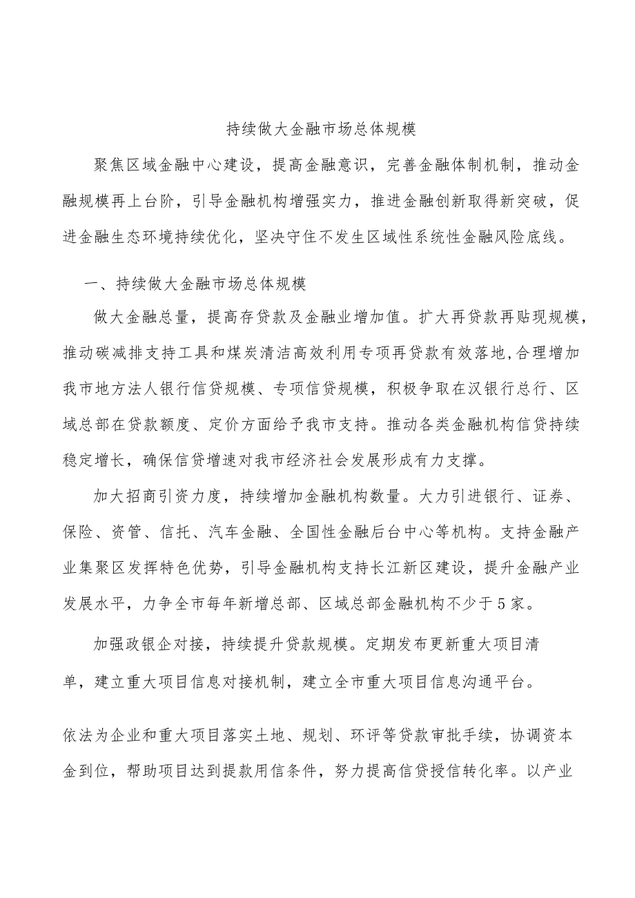 持续做大金融市场总体规模.docx_第1页