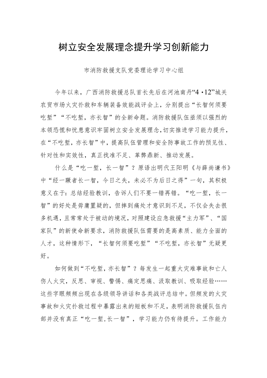 市消防救援支队党委理论学习中心组：树立安全发展理念提升学习创新能力.docx_第1页