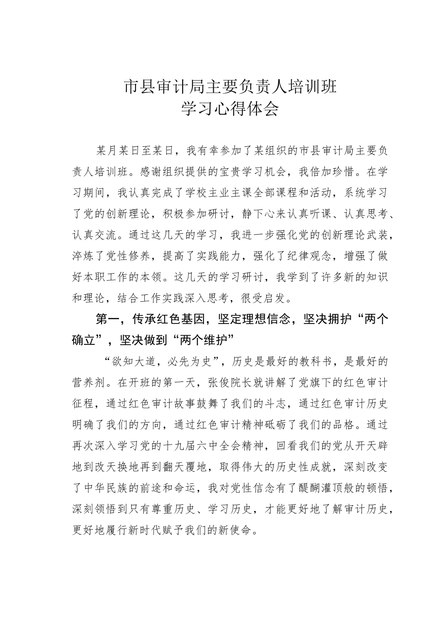 市县审计局主要负责人培训班学习心得体会.docx_第1页