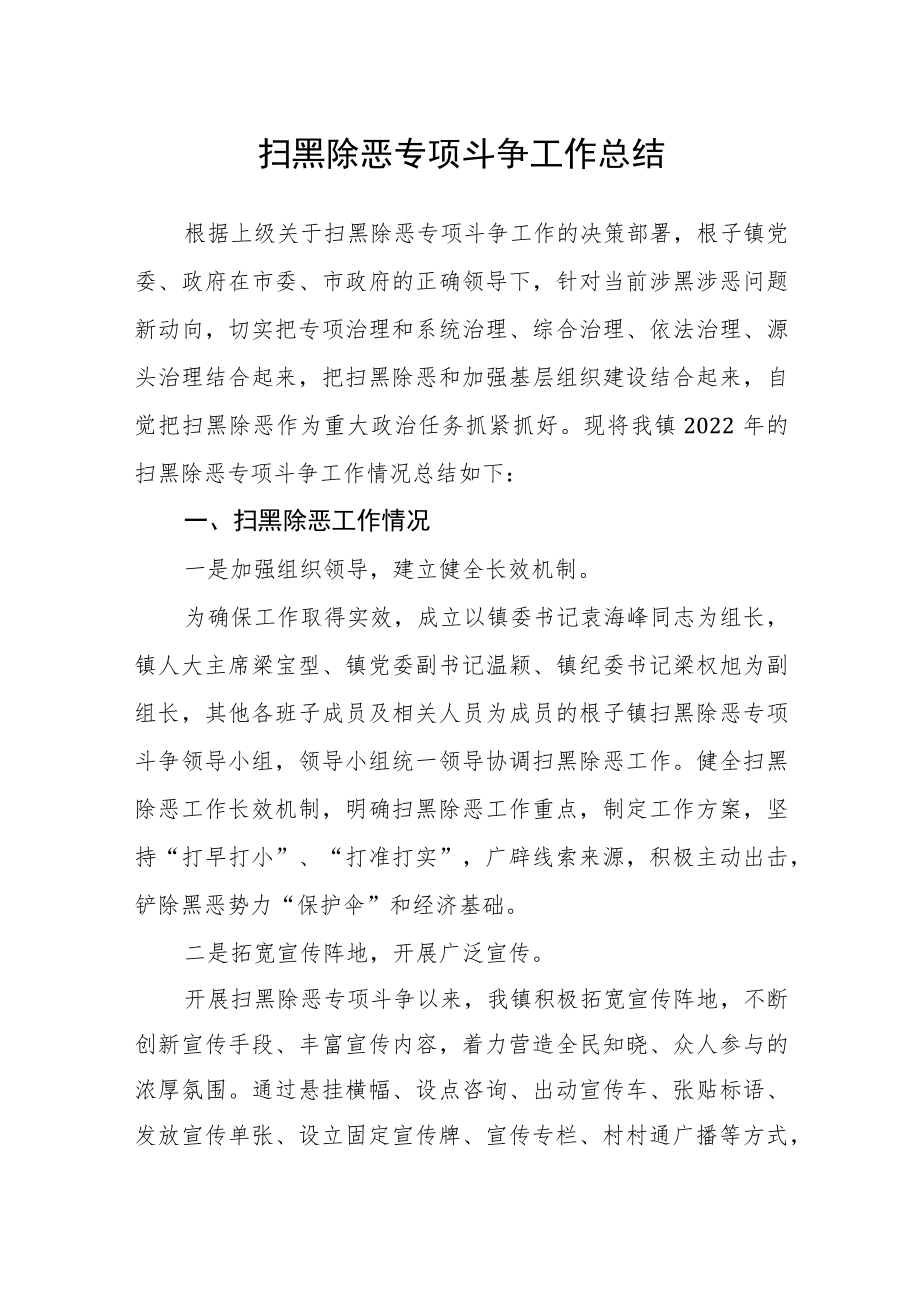 扫黑除恶专项斗争工作总结.docx_第1页